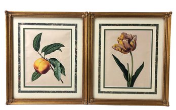 Gilt Framed Botanical Monotype Prints - #A5