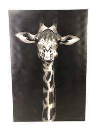 Giraffe Art Print On Canvas - #LBW-W