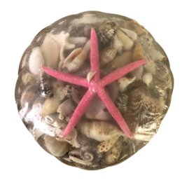 Basket Of Assorted Seashells & Starfish - #S3-3