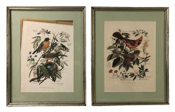 Cardinal & Robin Framed Art Prints By Arthur Singer - #S8-4