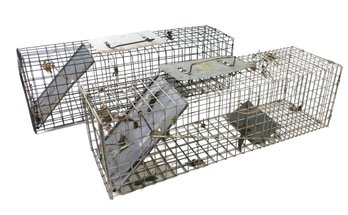 1-Door Medium Catch-And-Release Live Animal Traps (Set Of 2) - #S2-5