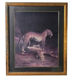 Two Leopards Lying In The Exeter Exchange Framed Art Print By Jacques-Laurent Agasse - #BR-5