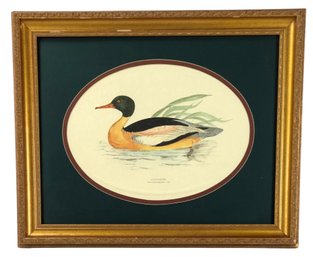 Vintage Framed Goosander Duck Art Print By Bassett Mirror Company - #SW-2
