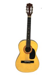 Synsonics FG907SG 6-String Acoustic Guitar - #S14-F