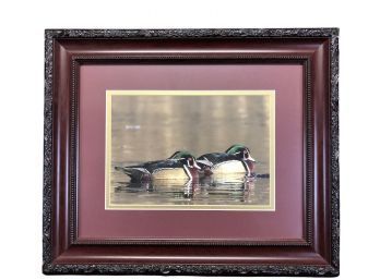 Signed Dave Reinhard Duck Photograph, Edwin & Forsythe National Wildlife Refuge, NJ - #S8-5