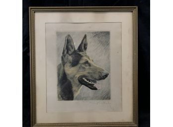 Vintage Pencil Signed Drawing On Wove Paper, German Shepherd - #AR2