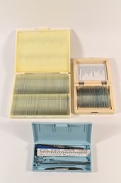 Lot Of Microscope Laboratory Slides