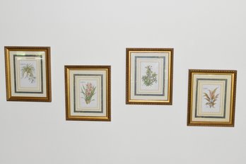 Framed Floral Printes - 4 Total