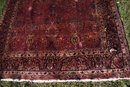 Vintage Room Size Sarouk Oriental Rug (CTF30)