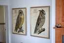 Two Large Decorative Soicher-Marin Prints, Owls (CTF30)