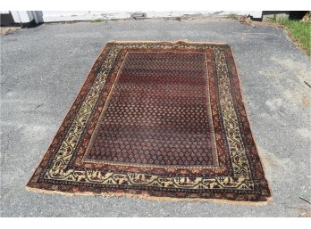 Oriental Rug (CTF10)