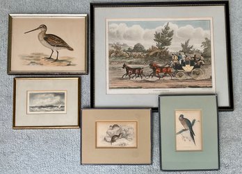 Five Antique Prints (CTF20)