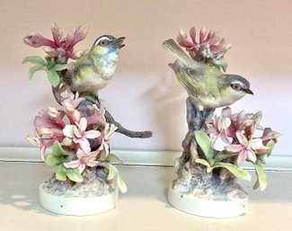 Two Royal Worcester Bird Figurines (CTF30)