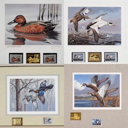 Federal Duck Stamp Medallion Edition Framed Prints, 5 Pcs (CTF20)
