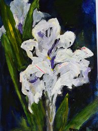 Grace Desjardin Acrylic, White Iris (CTF10)