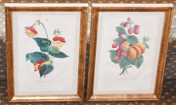 Two Antique Hand Colored Engravings (CTF10)