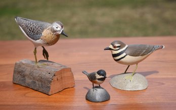 Three Miniature Bird Carvings, Including Jess Blackstone (CTF10)