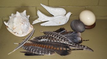 Vintage Carved Bird, Feathers, Shell And Eggs (CTF20)