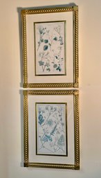 Two Contemporary Framed Botanical Prints (CTF10)