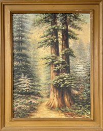 Florence Howe Oil, Pine Trees (CTF10)