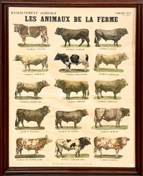 19th C. French Print, Les Animaux De La Ferme (CTF10)