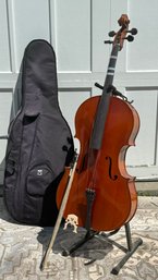 Eastman VC100 Samuel Eastman Cello (CTF30)