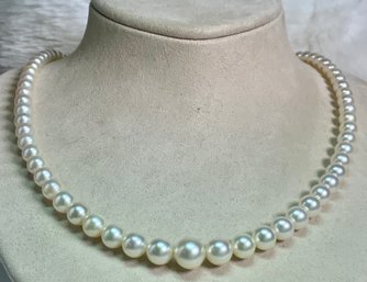 Graduated Pearl Necklace (CTF10)