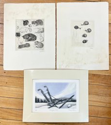 Three Vintage Prints, Nancy Nemec And Other (CTF10)