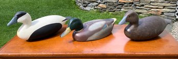 Vintage Hamilton And PA Carved And Painted Duck Decoys, 3pcs. (CTF10)