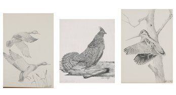 Three Ralph Sarty Pencil Drawings, Game Birds (CTF20)