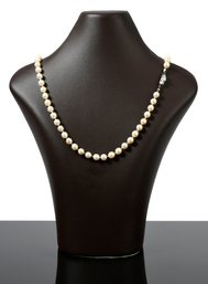 Vintage Pearl Necklace (CTF10)