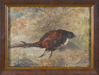 Ca. 1875 Oil On Paper, Pheasant (CTF10)