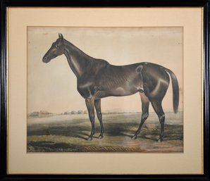 Antique N. Currier Lithograph, Wild Irishman (CTF10)