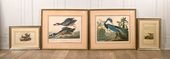 Four Vintage Bird Prints (CTF20)