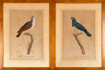 Two 19th C. Ornithological Engravings (CTF10)