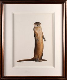 Douglas Allen Pencil & Ink, Otter (CTF10)