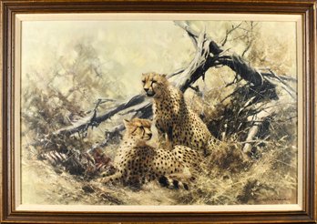 David Shepherd Print, Cheetas (cTF20)