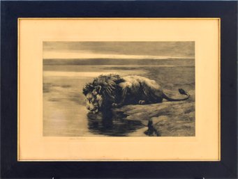 Antique Herbert Dicksee Engraving, Lion Drinking (CTF20)