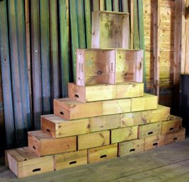 23 Vintage H.S. Allen Bedford NH  Fruit Crates, 3 0f 3  (CTF50)