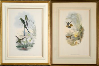 Two Vintage Gould & Richter Hand Colored Ornithological Lithographs, Hummingbirds (CTF20)