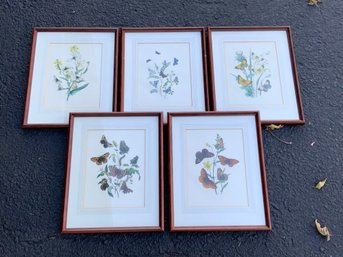 Five Vintage Colored Butterly Lithographs, 1 Of 3 (CTF20)