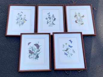 Five Vintage Colored Lithographs, Butterflies, 2 Of 3 (CTF20)