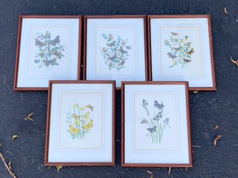 Five Vintage Colored Lithographs, Butterflies, 3 Of 3 (CTF20)