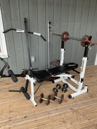 Weight Lifting Bench And Weights (CTF40)