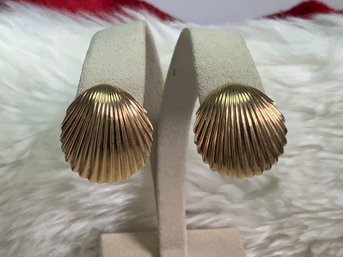14k Gold Shell Earrings (CTF10)