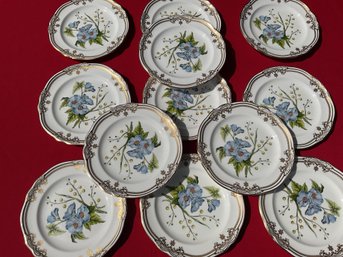 Hand Painted Spode Plates, 12pcs. (CTF10)