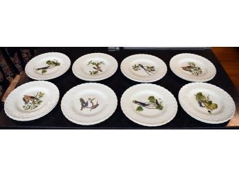 Vintage Meakin Birds Of America Plates, 16 (CTF20)