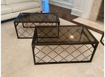 Pr. Metal & Glass Matching Coffee Tables (CTF40)