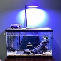 20 Gallon Fish Tank - Includes UV Light LIVE PLANTS Gravel Decor Air Stone Pump Fan FILTER Ready For Fish