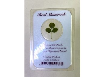 Real Shamrock Lucky Charm Friend Keepsake By Trefoil - Made In Ireland